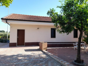Serroni Alto